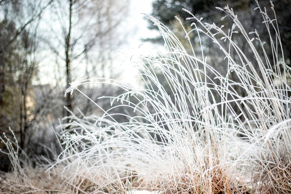 ەلىمىزدىڭ باسىم بولىگىندە اۋا رايى قۇبىلمالى بولادى