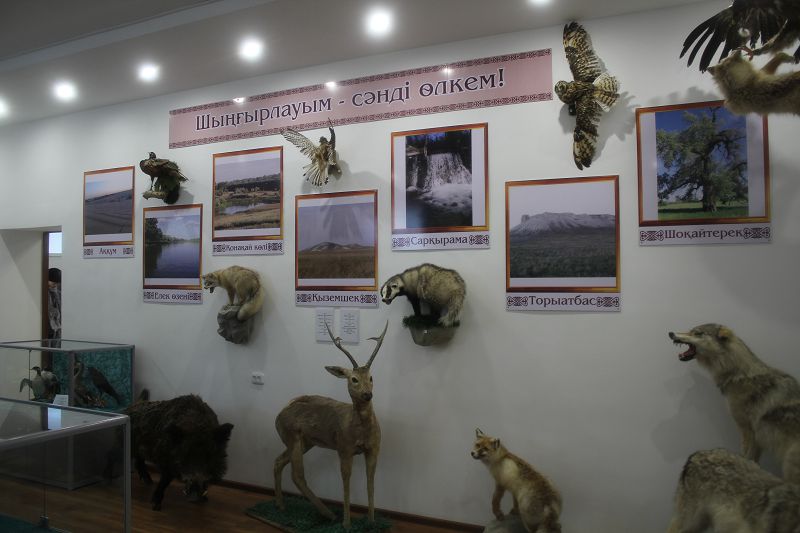 شىڭعىرلاۋدا جاڭا مۋزەي اشىلدى