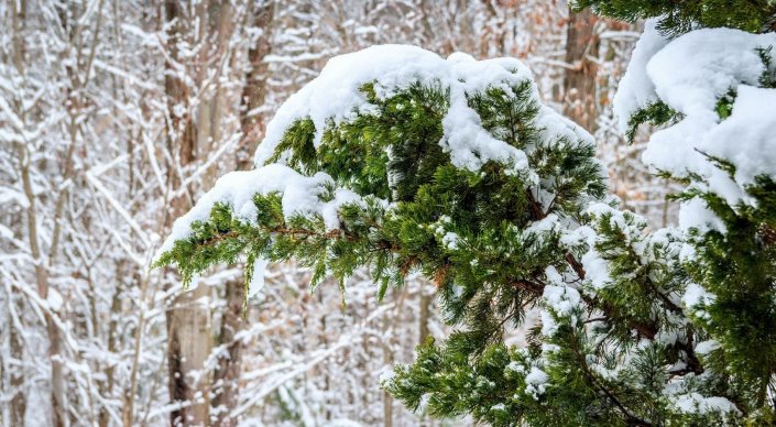 سينوپتيكتەر ايازدىڭ بەتى قاشان قايتاتىنىن ايتتى