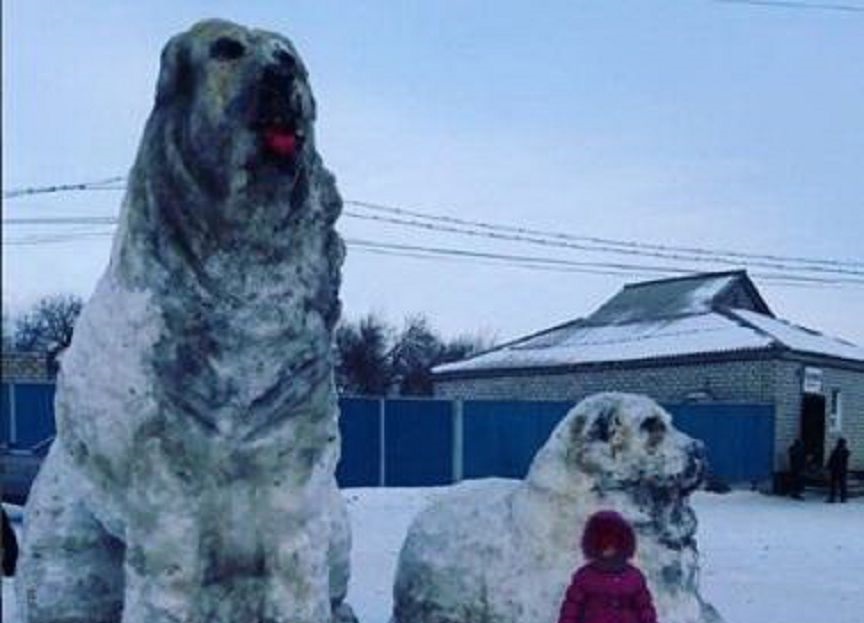 اقتوبەدە قوس توبەتتىڭ ءمۇسىنىن قاردان جاسادى