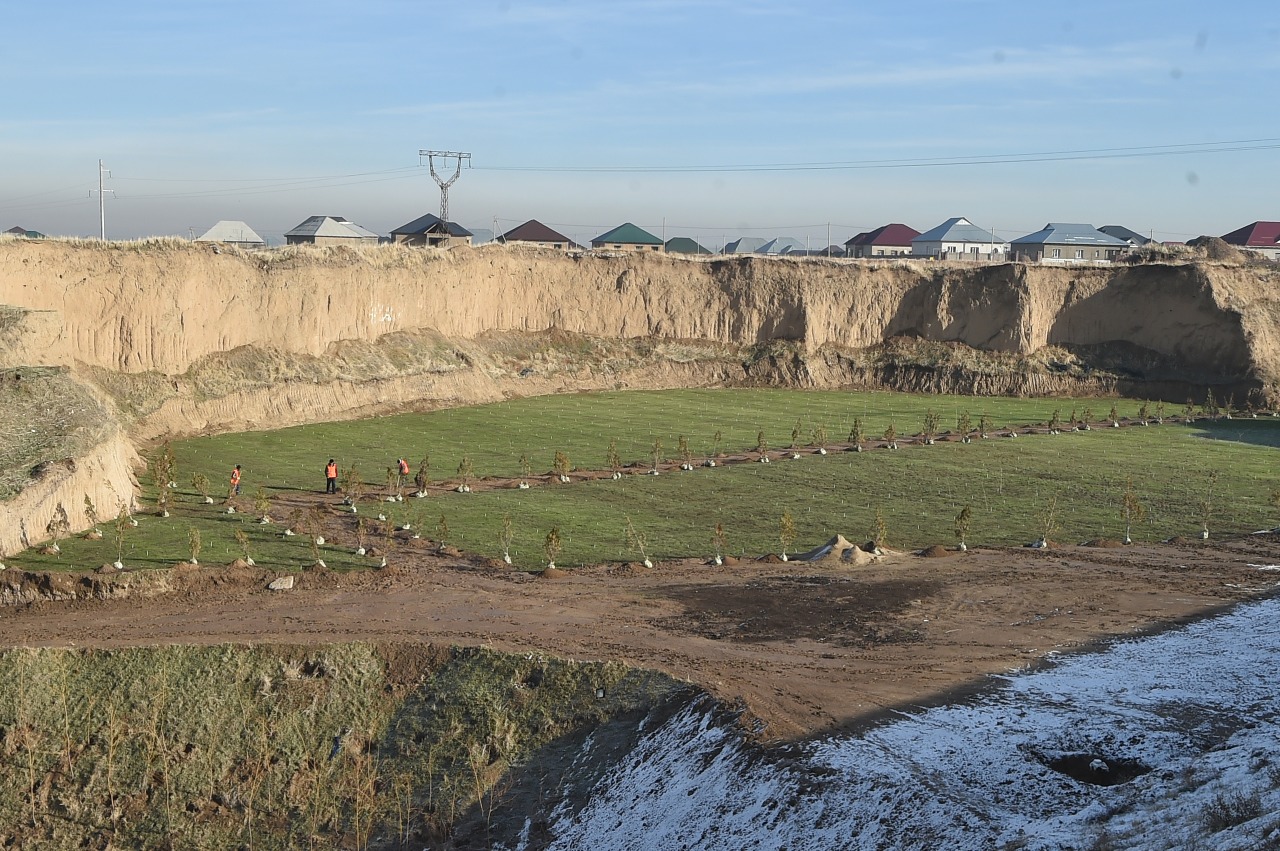 وقو-دا 1 ملن 990 مىڭ ءتۇپ كوشەتتى تەگىن تاراتۋ  جوسپارلانۋدا