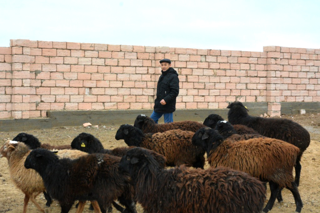 مۇنايلى اۋدانىندا 5 مەكتەپتىڭ قۇرىلىسى باستالماق