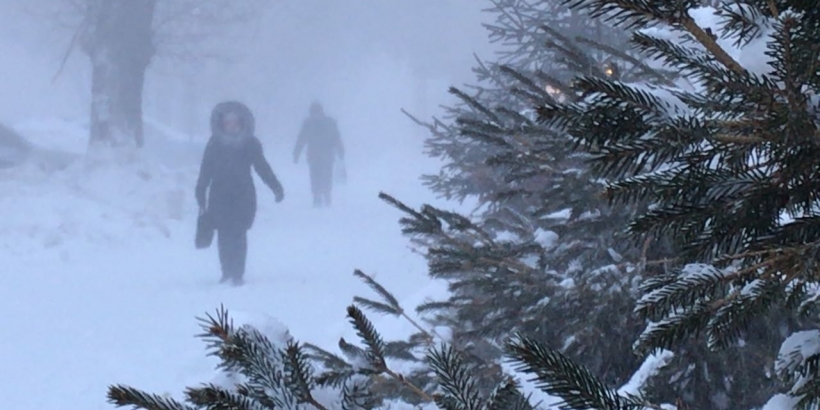 استانادا اۋا رايىنىڭ قولايسىزدىعىنا بايلانىستى توتەنشە جاعداي جاريالاندى