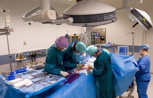 جەكەشەلەندىرۋ ءجون-جوسىقسىز جاسالماسىن