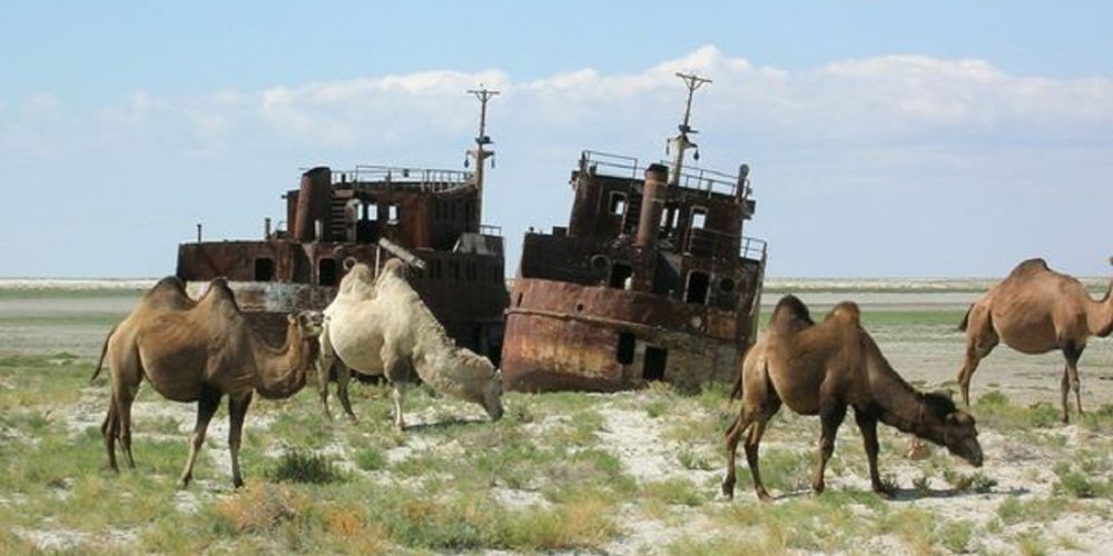 ارال تابانىنداعى «كەمەلەر بەيىتى»
