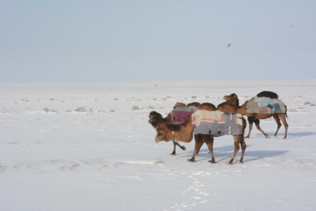 قۇدىق قازۋ جۇمىستارىنا كەتكەن شىعىننىڭ 80 پايىزى قايتارىلادى