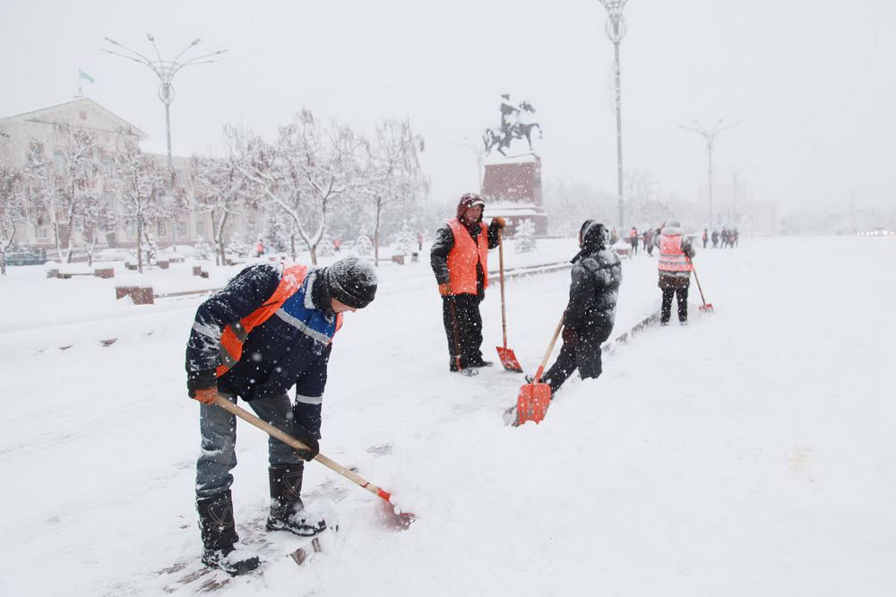 تابيعاتتىڭ توسىن مىنەزى اۋليەاتانى ابىگەرگە سالىپ تۇر
