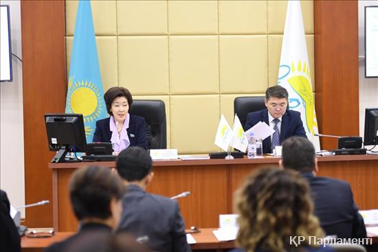 «نۇر وتان» پارتياسىنىڭ فراكتسياسى ەلباسى جولداۋىن ىسكە اسىرۋدىڭ جوسپارىن قابىلدادى