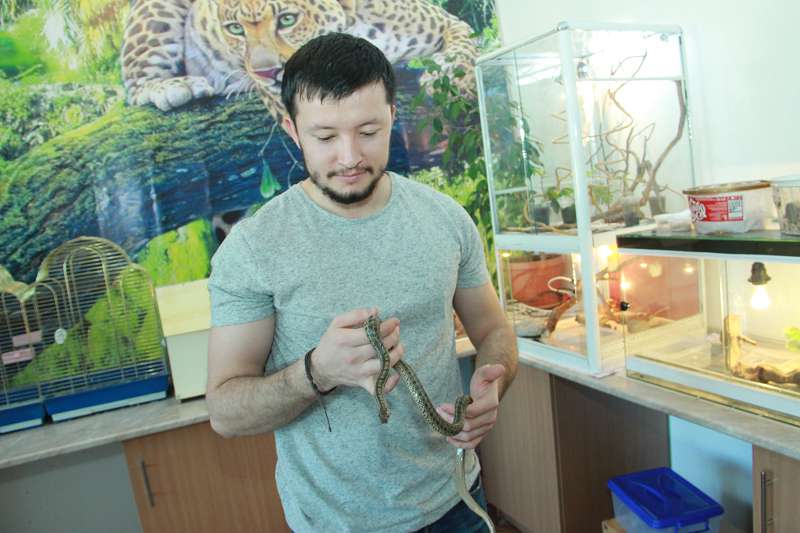 ەكزوتيكالىق جاندىكتەر الەمى
