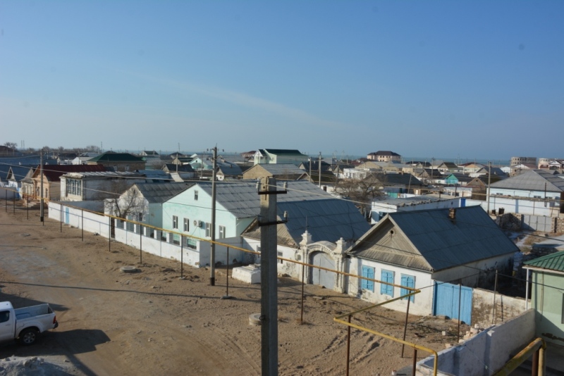 تىرلىگى تياناقتى تۇپقاراعان