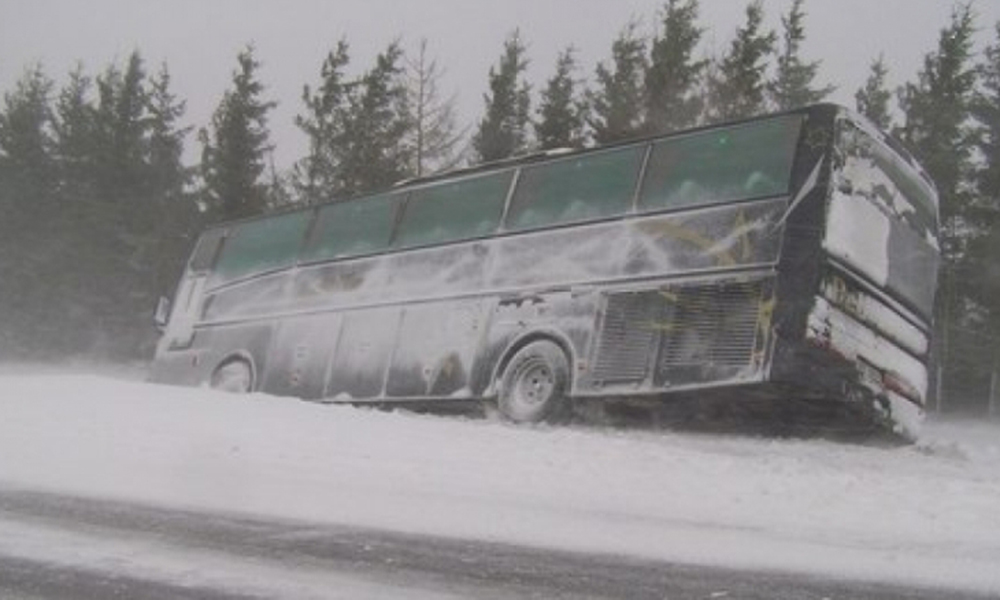 اياگوزدە 29 جولاۋشى قاۋىپسىز جەرگە جەتكىزىلدى