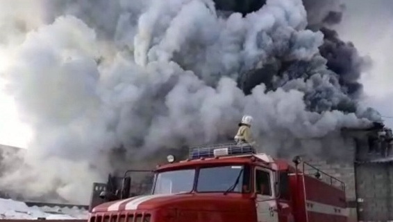 الماتىدا قويما ورتەنىپ جاتىر