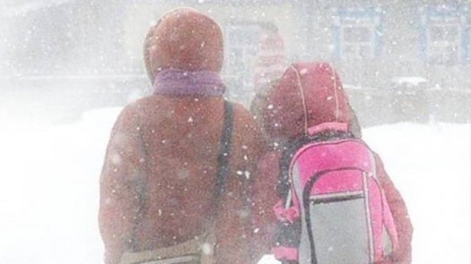 استانادا ءبىرىنشى اۋىسىمداعى باستاۋىش سىنىپ وقۋشىلارىنا ساباق بولمايدى