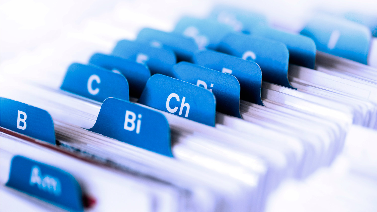 تەرمين ماسەلەسىندە تۇيتكىل كوپ