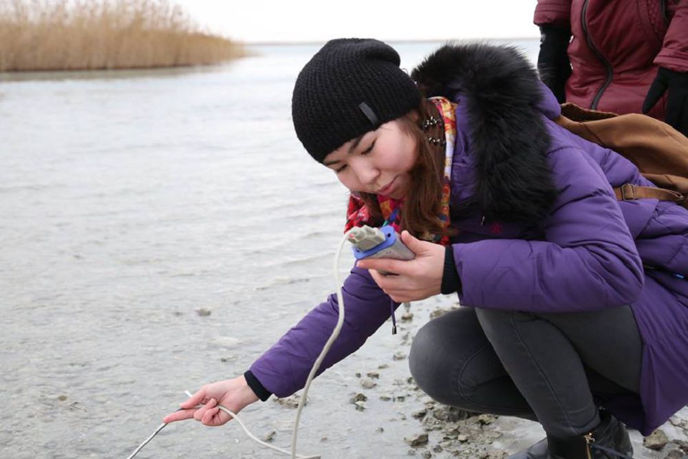 وقۋشىلار قۇس ساناۋعا شىقتى