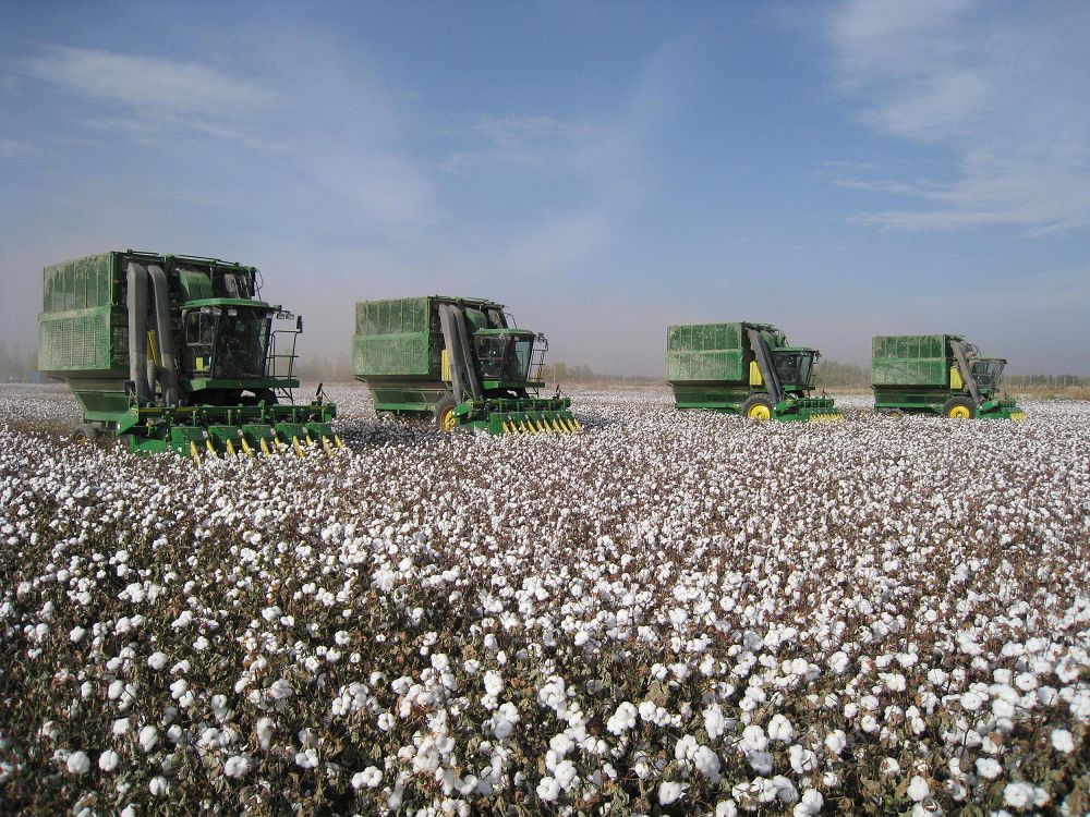 ورنىقتى دامۋدىڭ باستى قۇجاتى 
