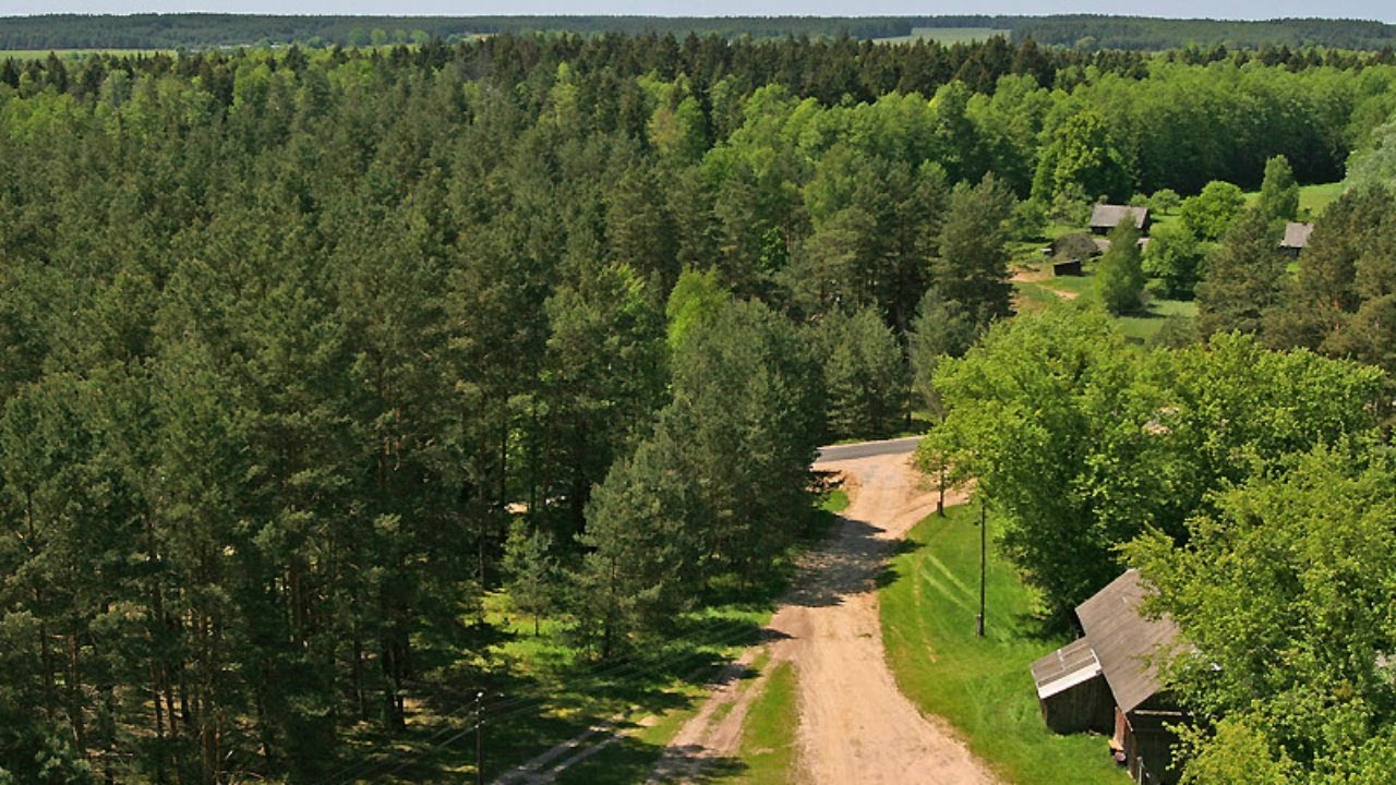 ورمان قورى ويداعىداي قورعالسىن