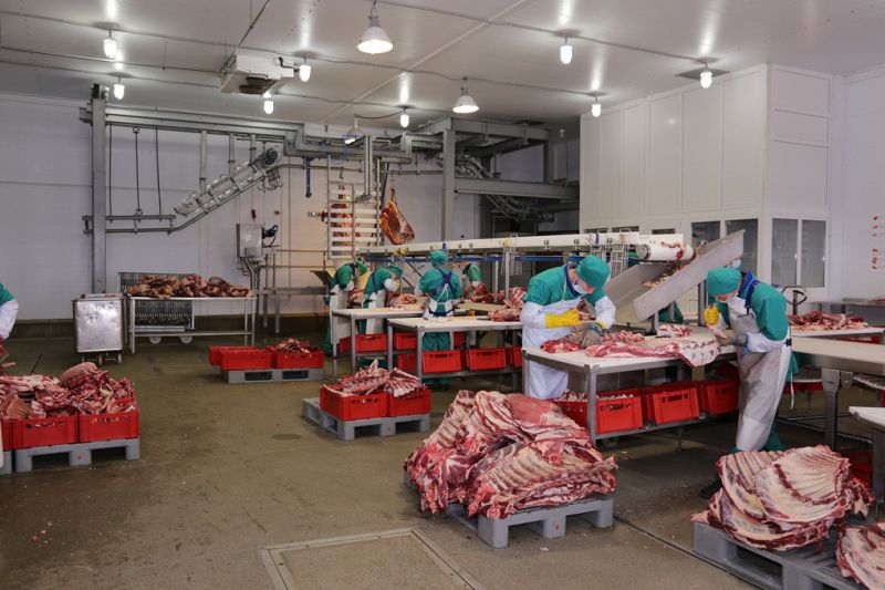 ەت كلاستەرىنىڭ مۇمكىندىگى مول

