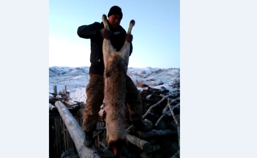 سويىلمەن سوعىپ الدى