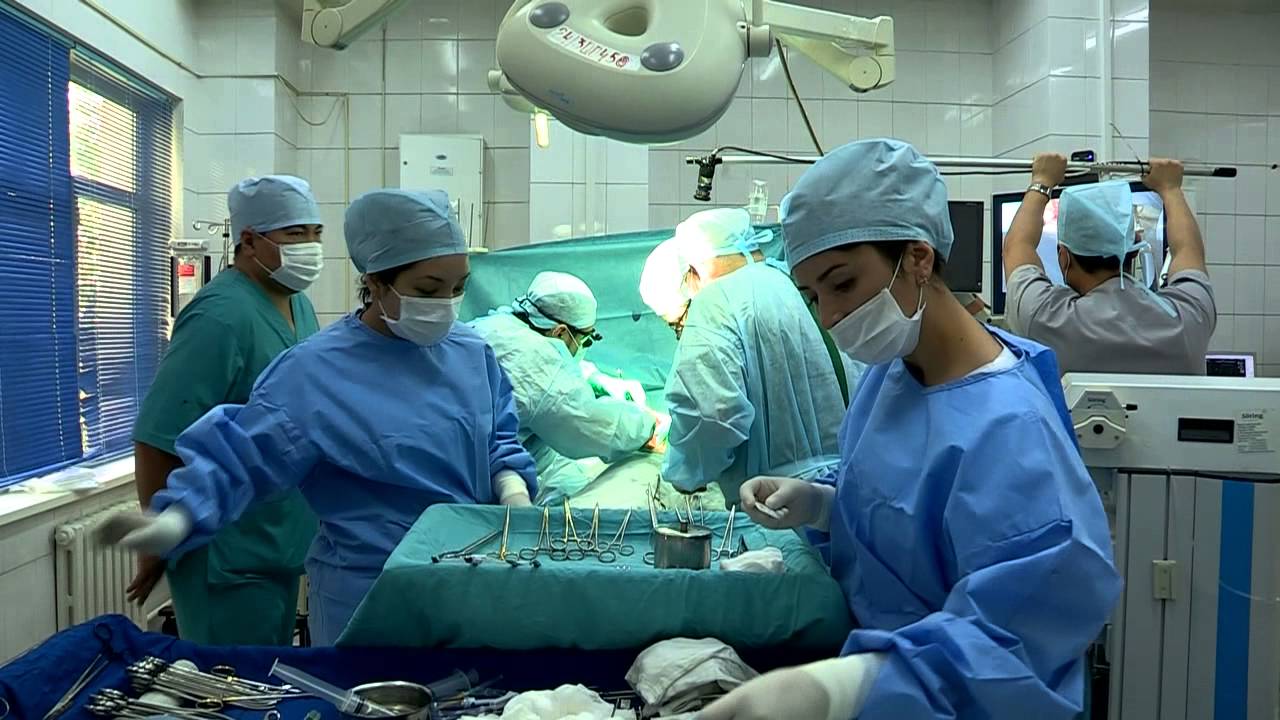 شەتەلدىكتەر شىمكەنتتە ەمدەلۋدە