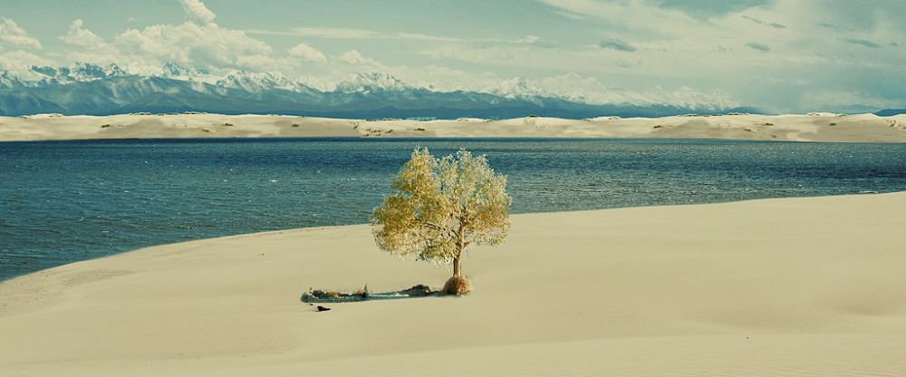 «وازيس» – قاسيەتتى مەكەن