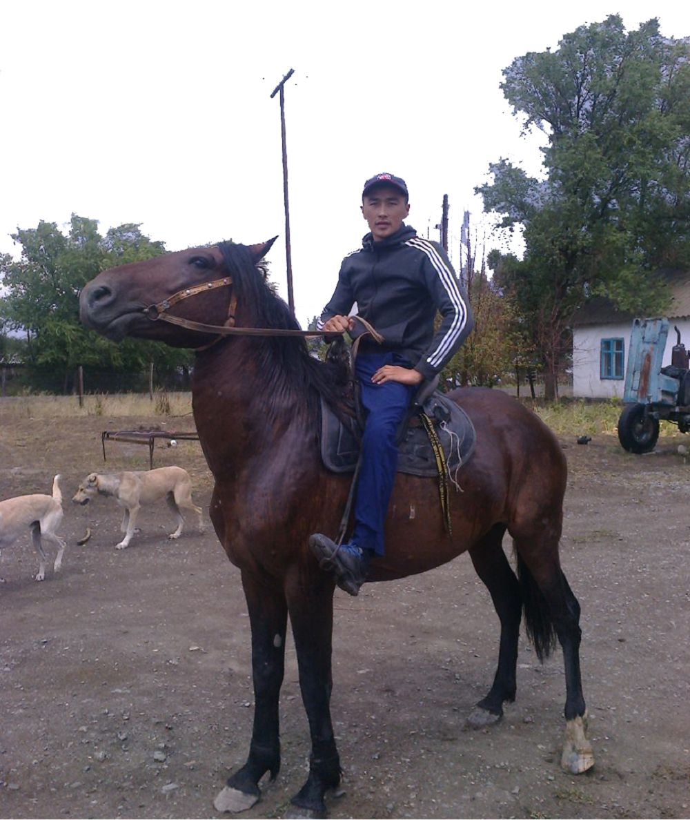 بارەكەلدى: اساۋدى اۋىزدىقتايتىن ازامات