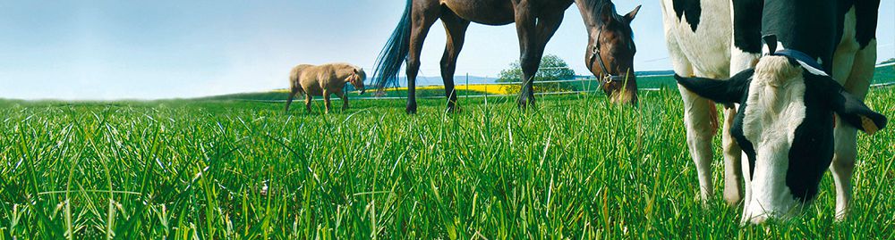 اگروونەركاسىپتىك كەشەن:  داعدىلى قالىپتان يننوۆاتسيالىق قالىپقا ءوتۋ

