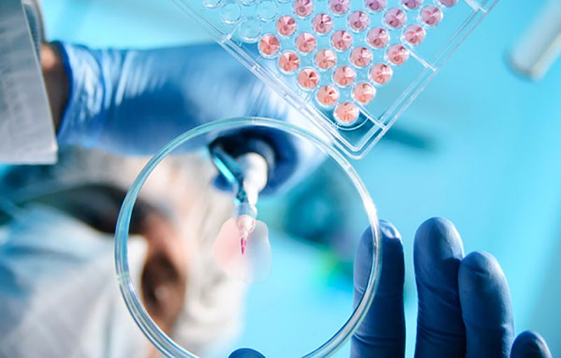 شولپان اۋىلىنىڭ تۇرعىندارى: «بىزگە دەربەس كوميسسيا كەرەك» 