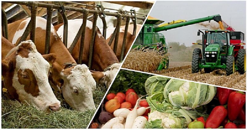 ماقسات – اۋىلدىڭ جاعدايىن جاقسارتۋ نەمەسە اقساقالدىڭ اماناتى