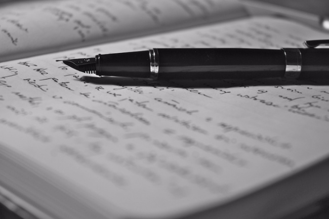 نەسىپبەك ءداۋتاي ۇلى. رەداكتورلىق مۇددە