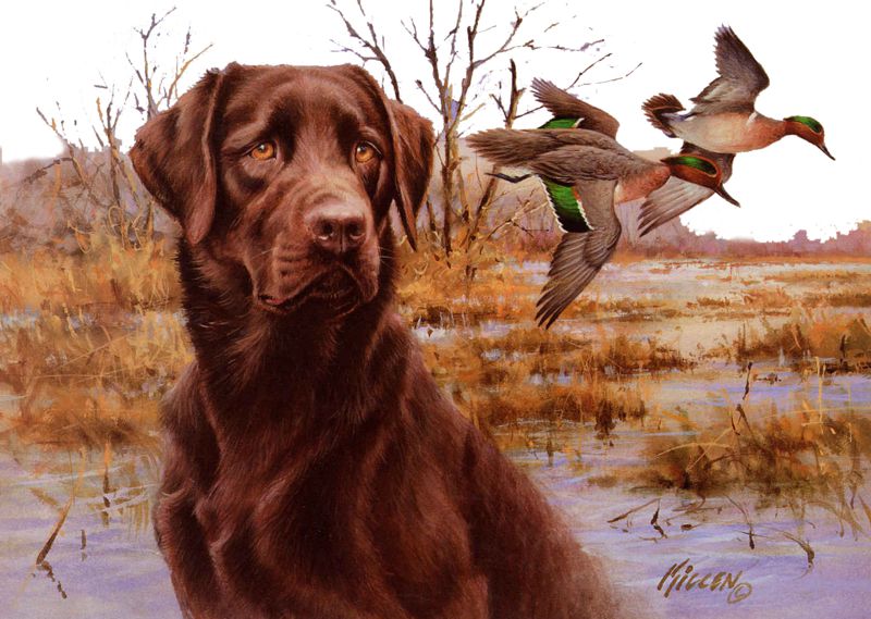 اقتوس پەن پالما