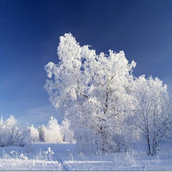 18 اقپانعا ارنالعان اۋا رايى بولجامى