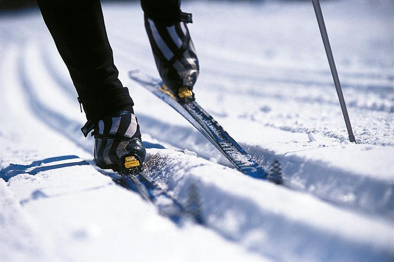 اقمولا وبىلسىندا سۋديالار شاڭعى تەپتى