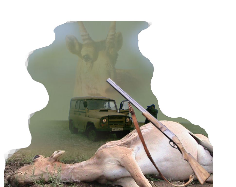 كيىكتىڭ كيەسى