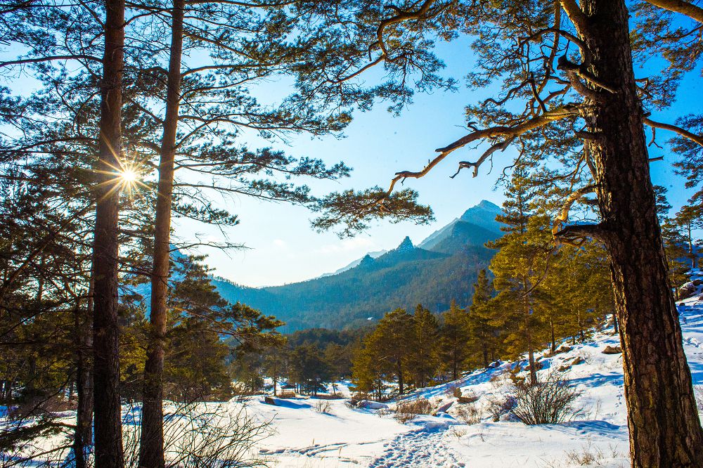 كۋرورتتى ايماقتى قالاي دامىتۋعا بولادى؟