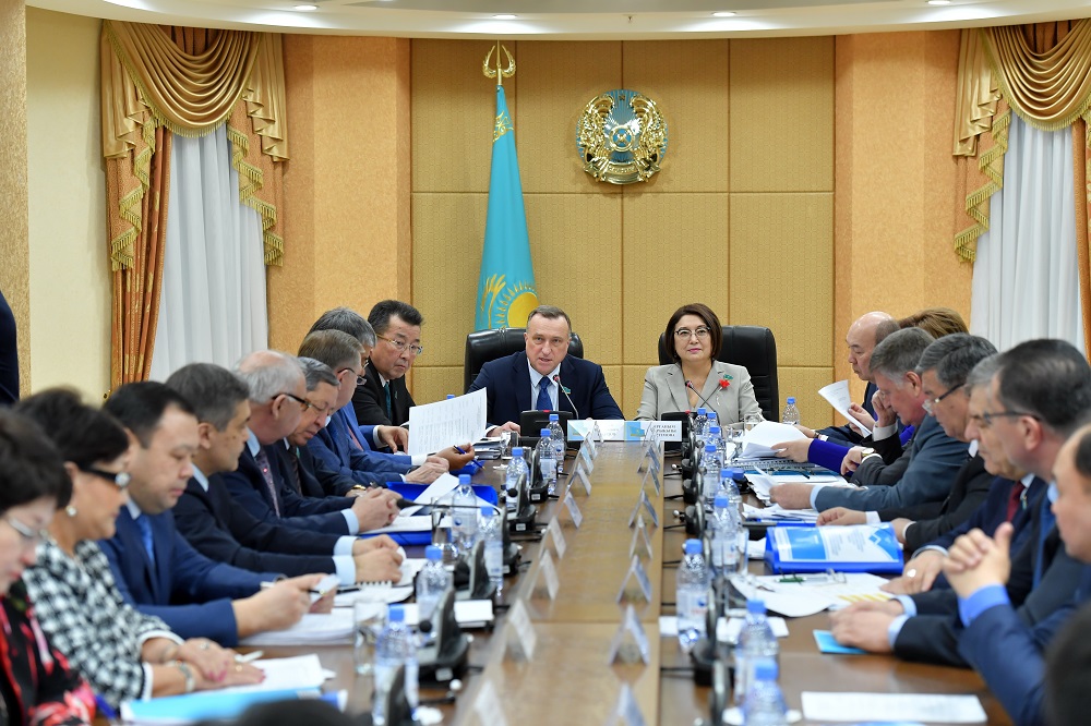 سەناتتا ازاماتتىق قوعامدى دامىتۋ زاڭناماسىن جەتىلدىرۋ ماسەلەسى قارالدى