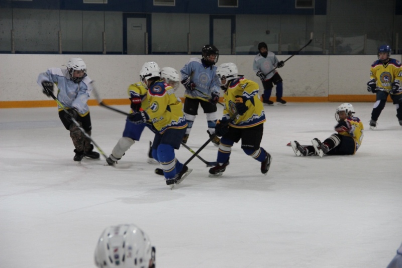 استانادا بالالار ءۇشىن تەگىن سپورت سەكتسيالارى اشىلادى