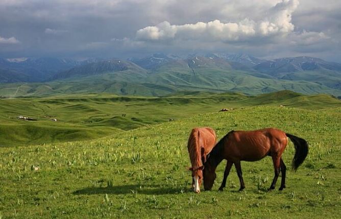 جەردى جالعا بەرۋ مۇقيات قاداعالانادى