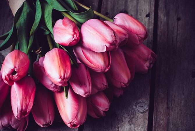 ەلورداعا گۇلدەر قاي مەملەكەتتەردەن جەتكىزىلەتىنى بەلگىلى بولدى