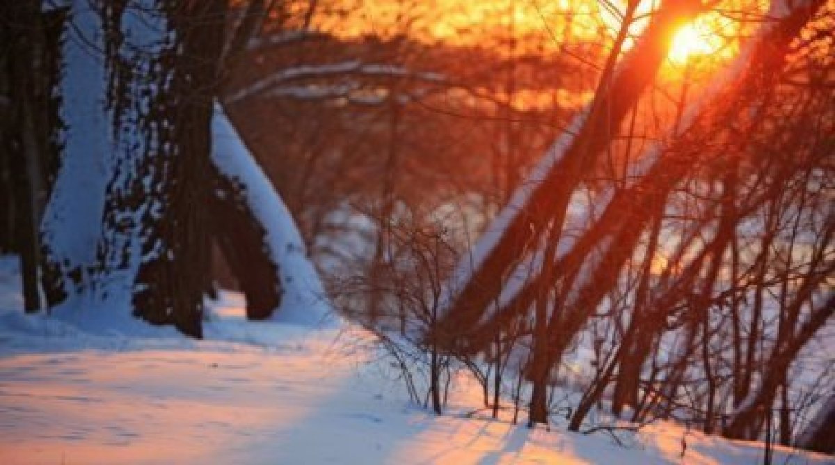 9 ناۋرىزعا ارنالعان اۋا رايى بولجامى