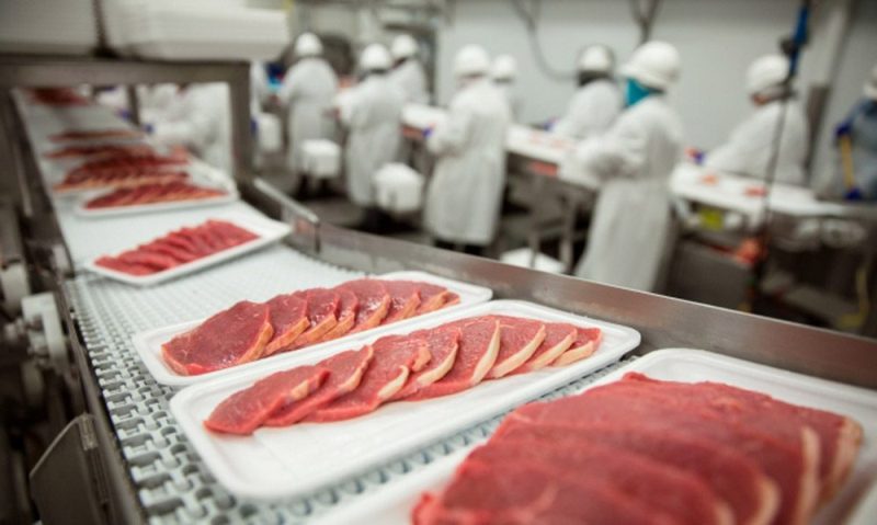 شىعىس قازاقستاندا ەكى ەت وڭدەۋ كومبيناتى سالىنادى