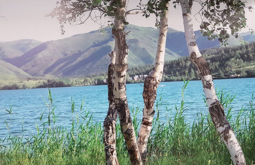 ەساعاڭنىڭ «قاس قاعىم ءساتى»