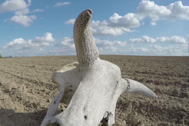 مال قورىمدارىنىڭ جاعدايى شەشىمىن كۇتكەن ماسەلە