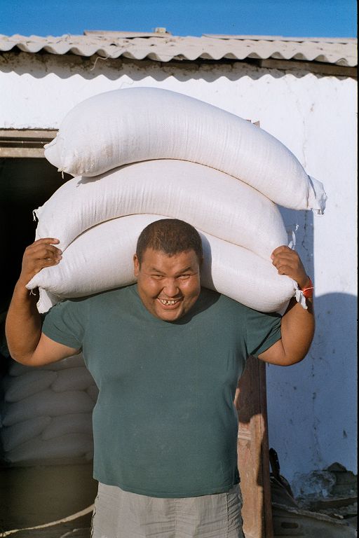 اۋىلدىڭ الىبى (سۋرەت سىرى)