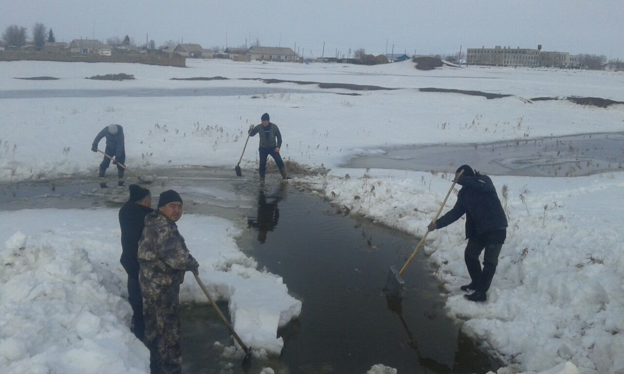 كوكپەكتىدە كوپىرلەر مەن سۋ ارنالارى تازارتىلىپ جاتىر
