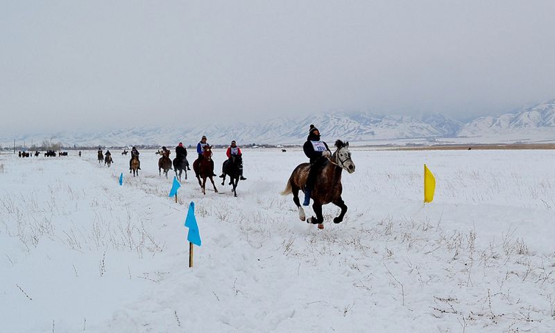  شقو-داعى كاتونقاراعاي اۋدانىندا ەرەكشە ات جارىسى ۇيىمداستىرىلدى