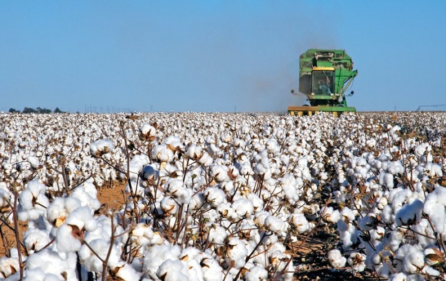 ساكەن قانىبەكوۆ: ماقتا شارۋاشىلىعى ايرىقشا نازاردى قاجەت ەتەدى
