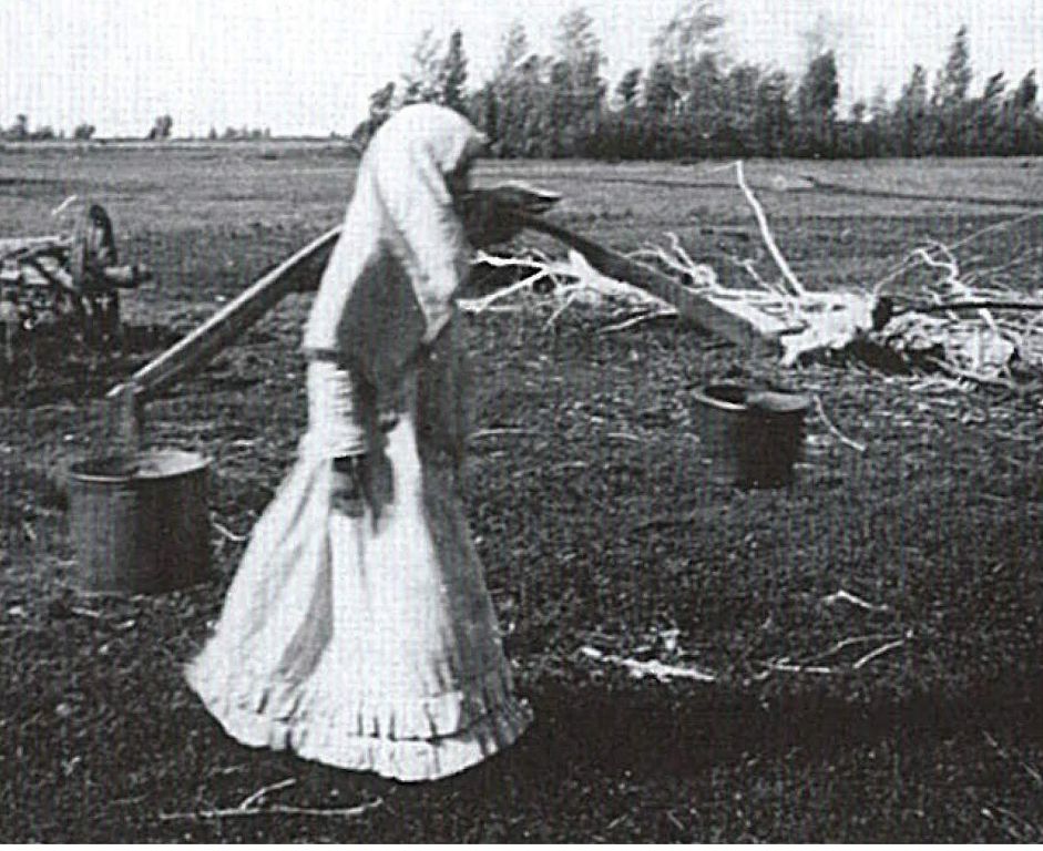 قازاق – قاشاندا قازاق! (ولەڭ)