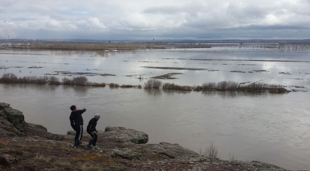ارقادا اپاتتىڭ الدىن الۋ جۇمىستارى پىسىقتالدى