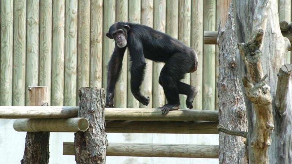 مەكەمەنىڭ ءيىسى